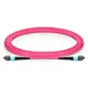 Fiber Optic Jumper