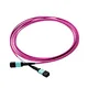 MPO-MPO 12f 12 Core 3.0mm Om4 Fiber Optic Jumper MPO Patch Cord MPO Cable MPO Connector.