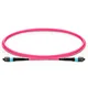 Fiber Optic Jumper